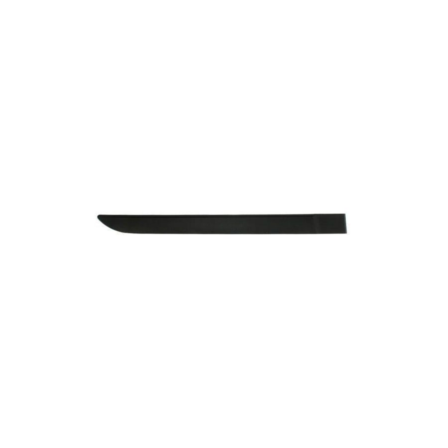 Blic 5703-04-6042574P Door Molding For Renault Megane