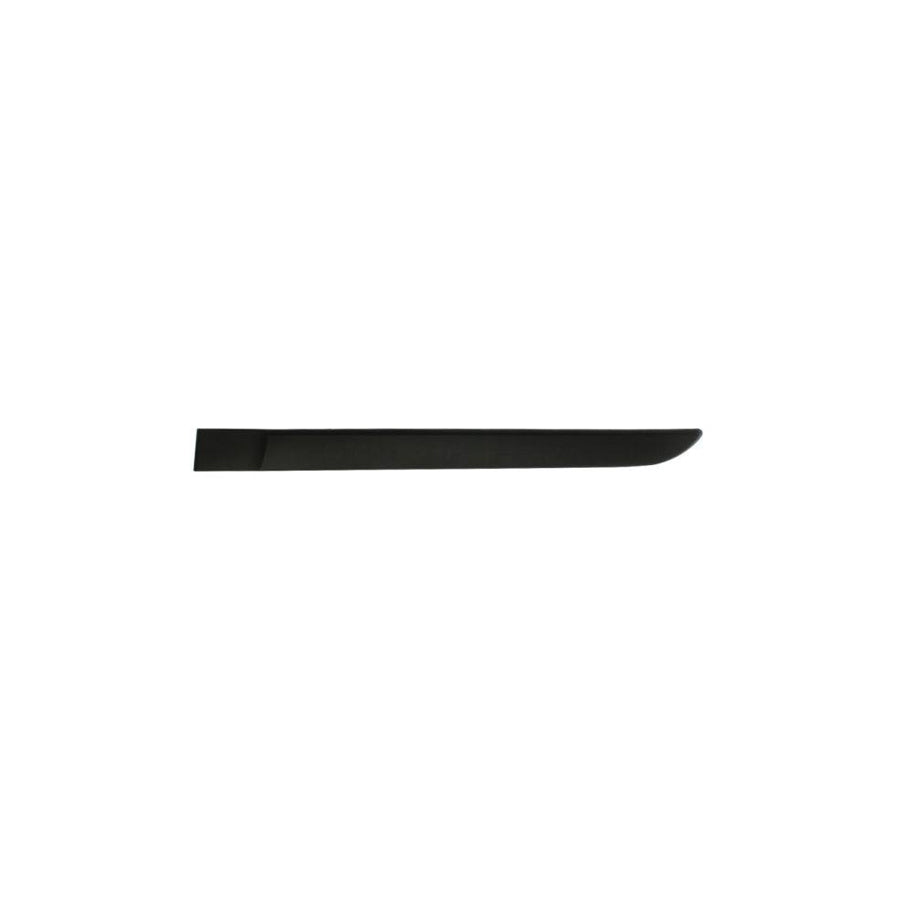 Blic 5703-04-6042573P Door Molding For Renault Megane