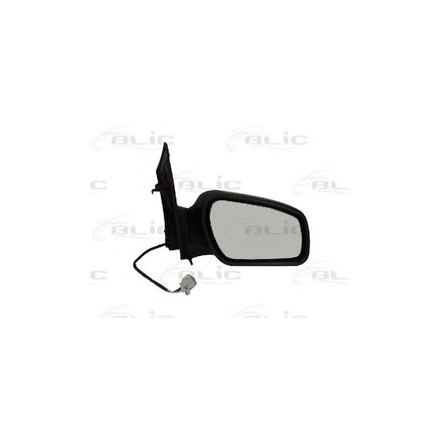 Blic 5402-04-1122300 Wing Mirror For Ford Focus