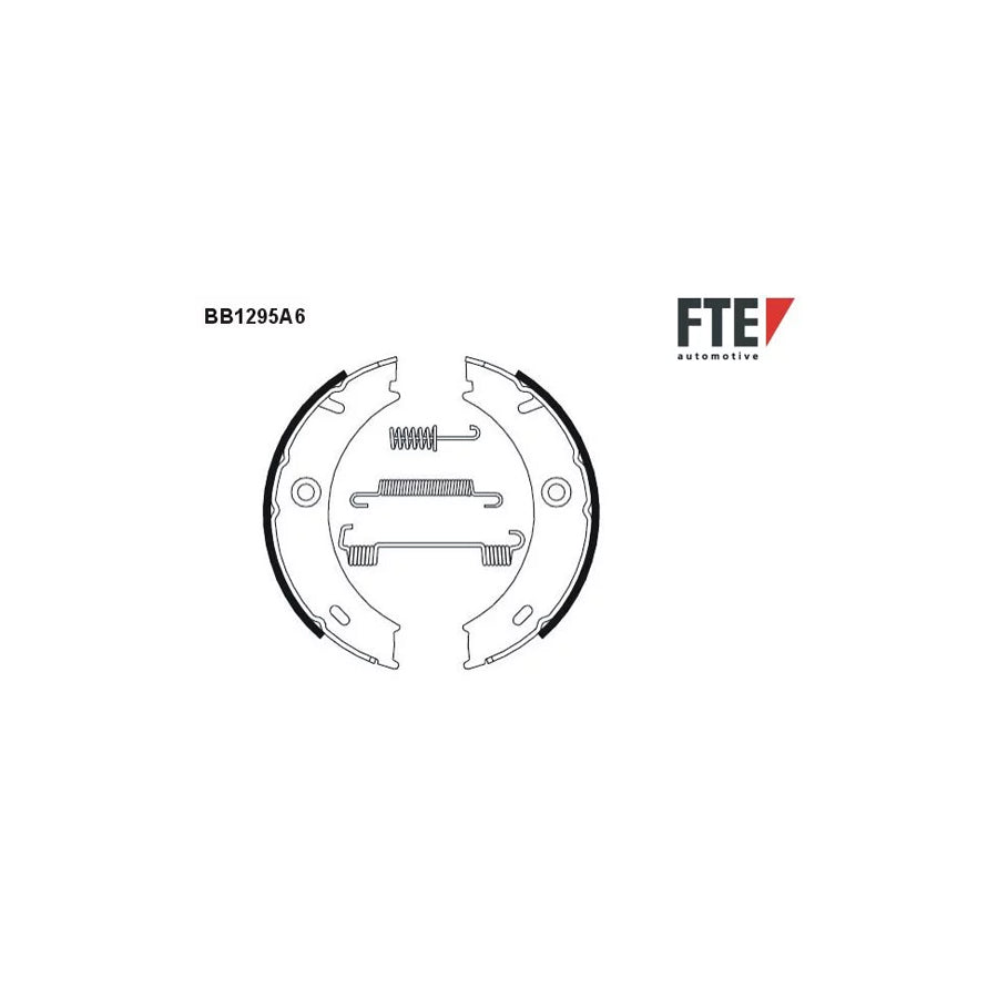 Fte 9100066 Handbrake Shoes | ML Performance UK Car Parts