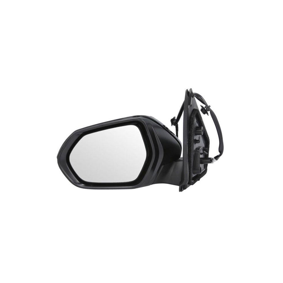 Blic 5402-19-2392314P Wing Mirror