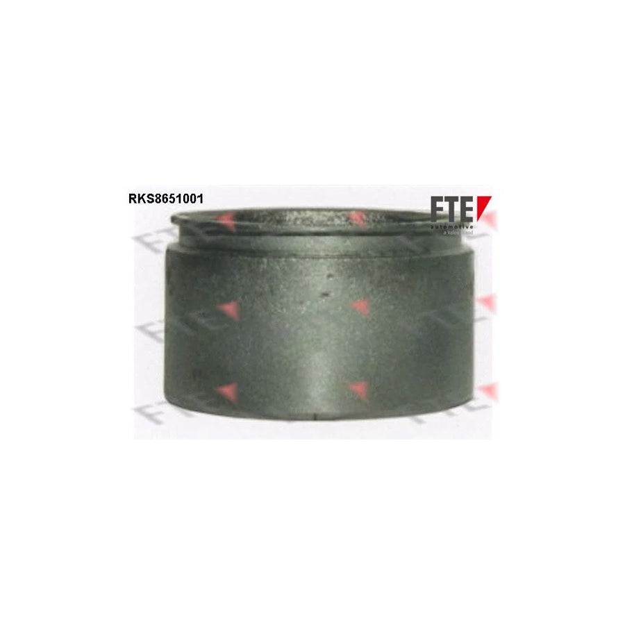 Fte RKS8651001 Piston, Brake Caliper | ML Performance UK Car Parts