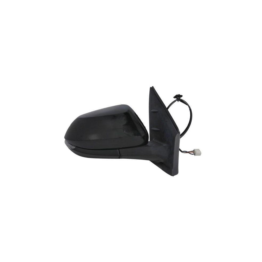 Blic 5402-19-2392313P Wing Mirror