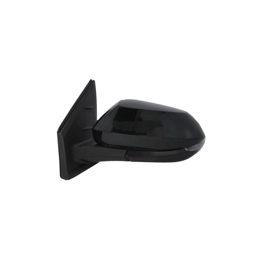 Blic 5402-19-2392310P Wing Mirror