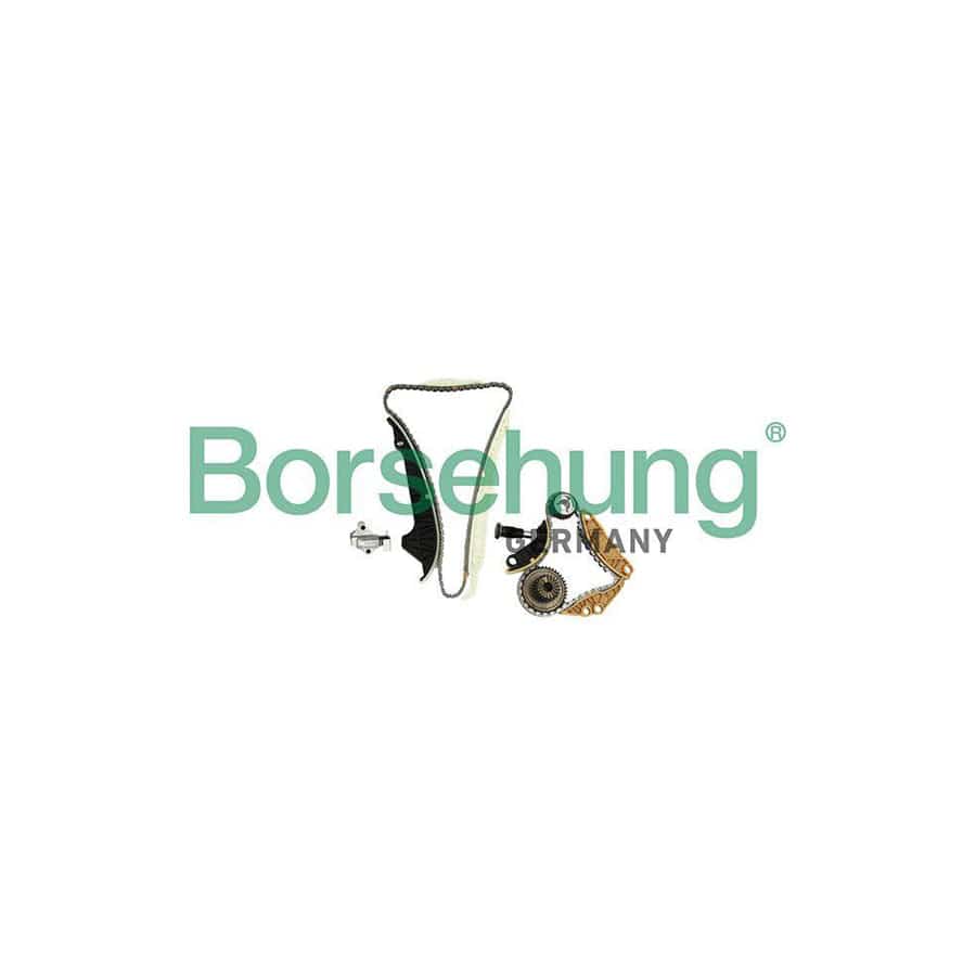 Borsehung B10220 Timing Chain Kit