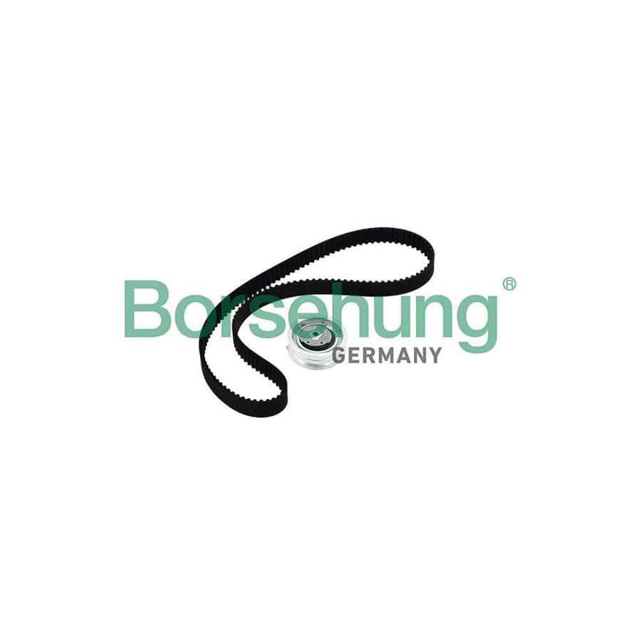 Borsehung B10219 Timing Belt Kit