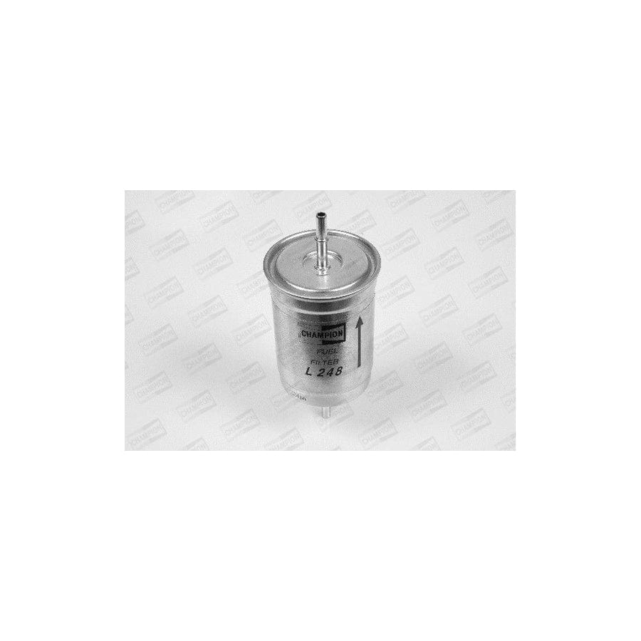 Champion L248/606 Fuel Filter