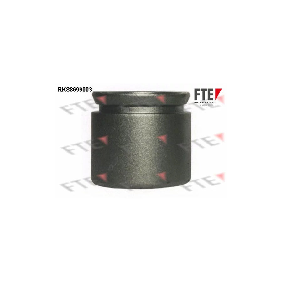 Fte RKS8699003 Piston, Brake Caliper | ML Performance UK Car Parts