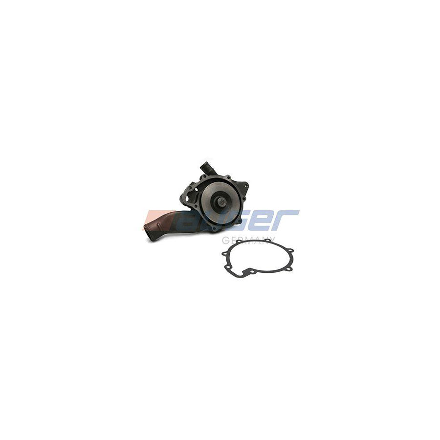 Auger 80764 Water Pump