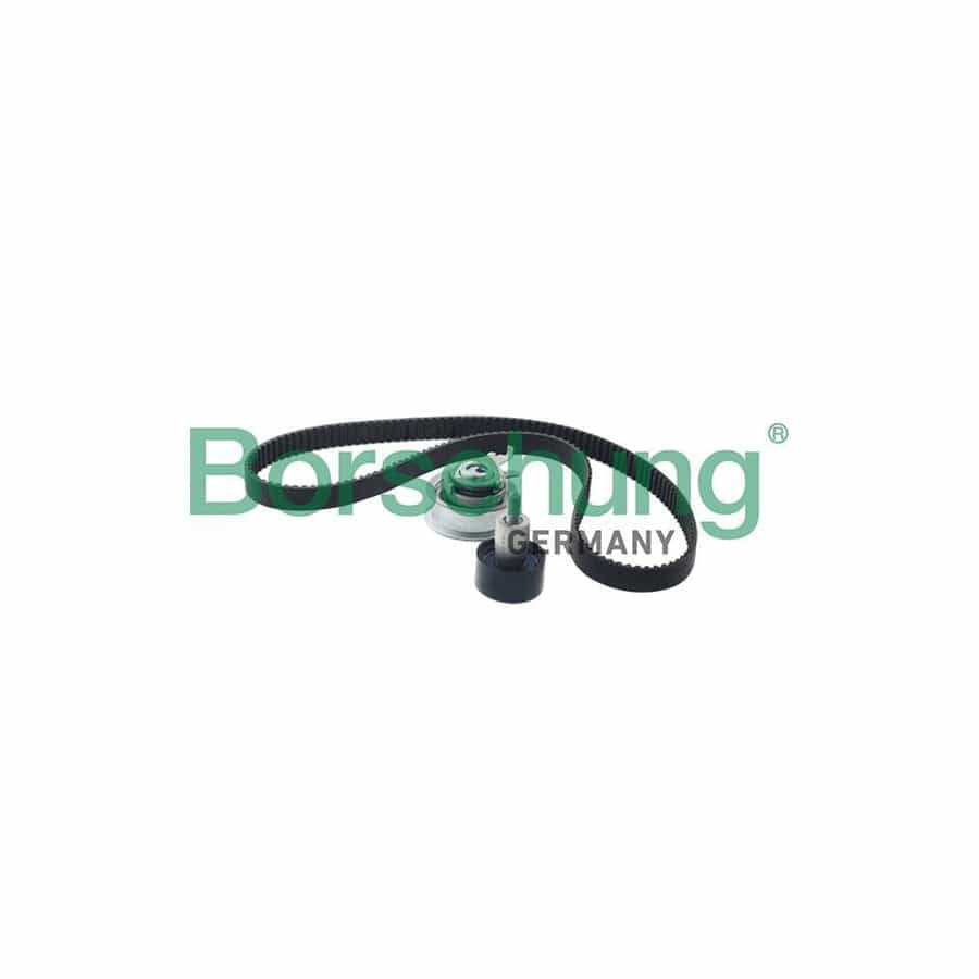 Borsehung B10210 Timing Belt Kit