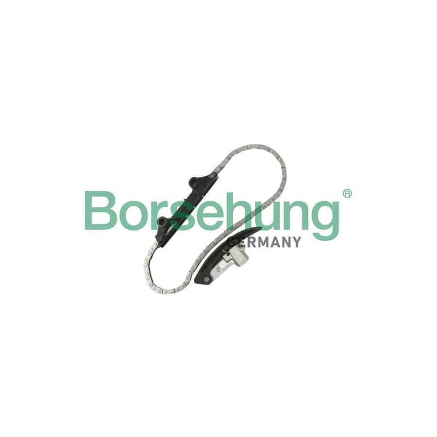 Borsehung B10209 Timing Chain Kit