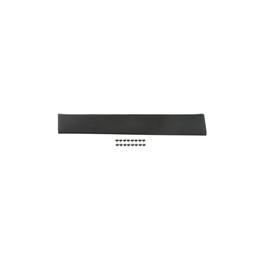 Blic 5703-04-6063588Pp Trim / Protective Strip, Mudguard