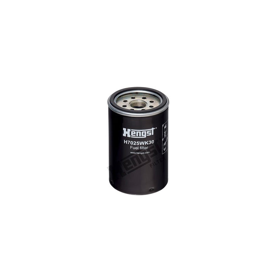 Hengst Filter H7025WK30 Fuel Filter