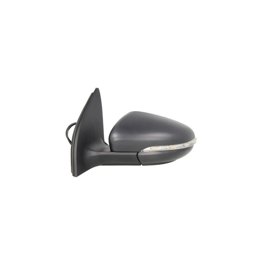 Blic 5402-01-2002631P Wing Mirror For VW Golf