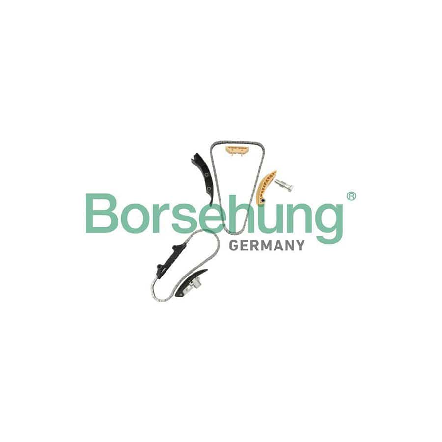 Borsehung B10207 Timing Chain Kit