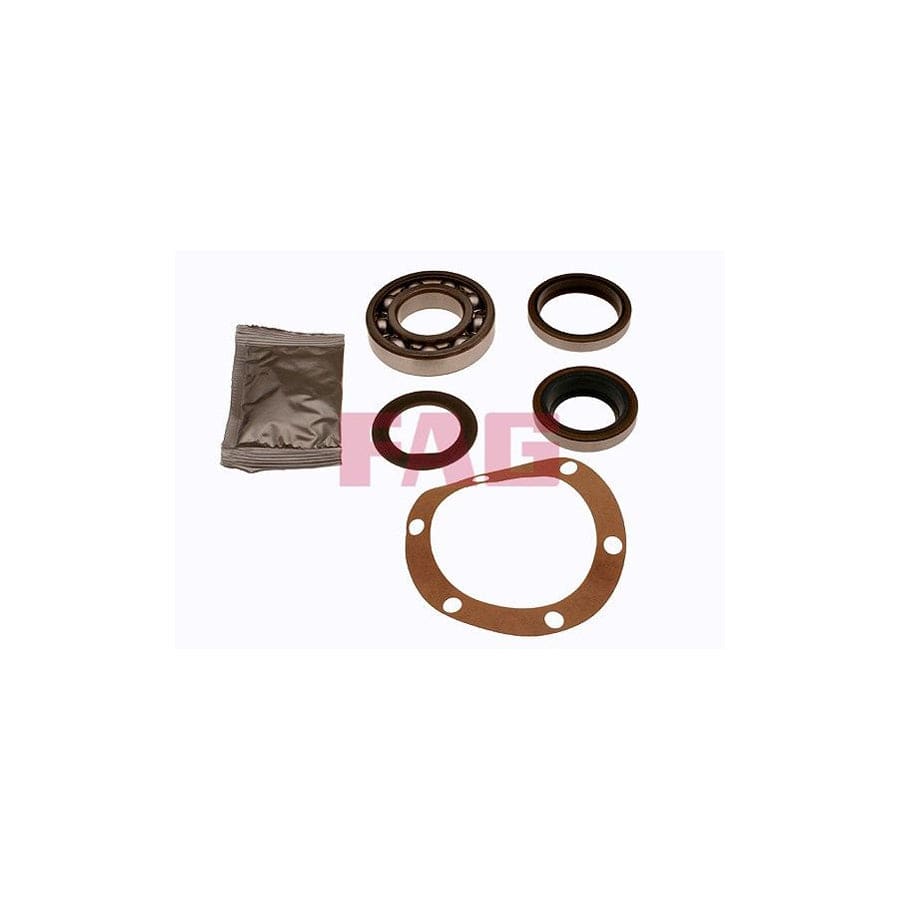 FAG 713 6675 00 Wheel Bearing Kit