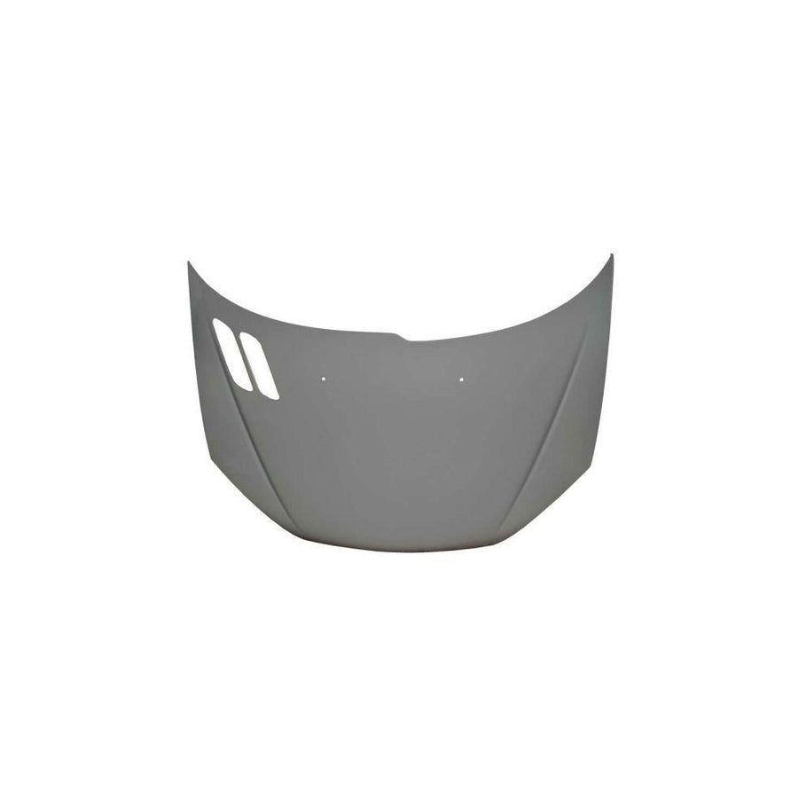 Blic 6803-00-5507280P Bonnet For Peugeot 206