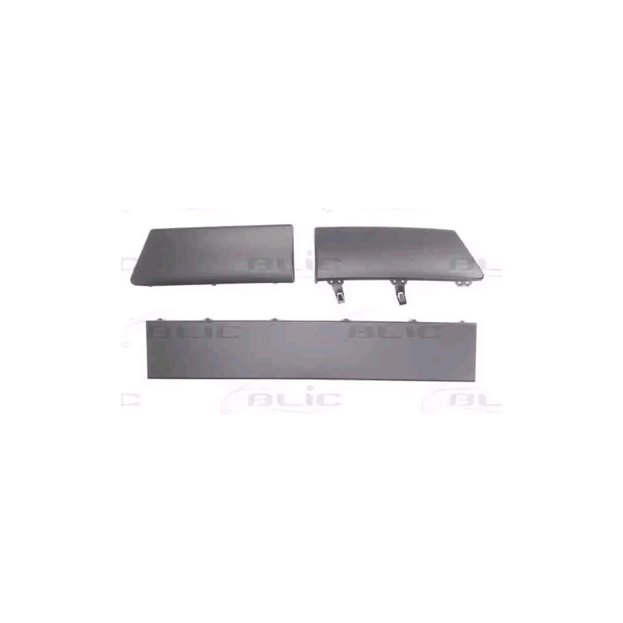 Blic 5510-00-6033920Q Bumper Moulding