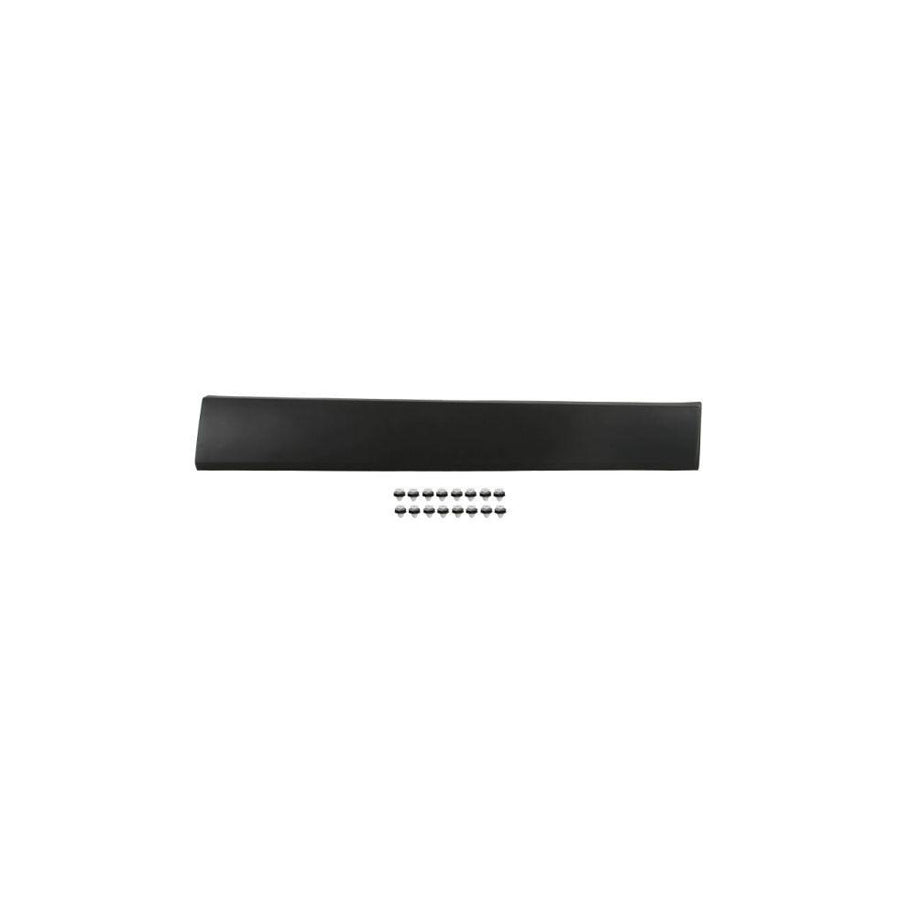 Blic 5703-04-6063587P Trim / Protective Strip, Mudguard