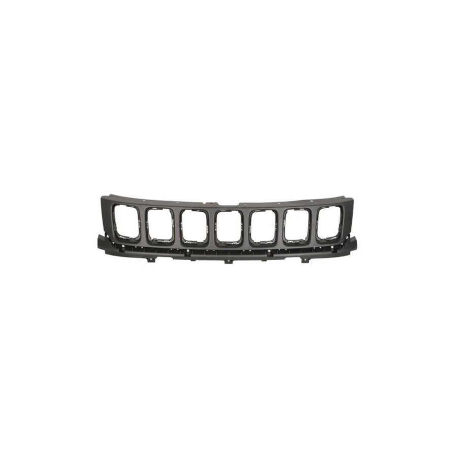 Blic 6502-07-3217991P Radiator Grille