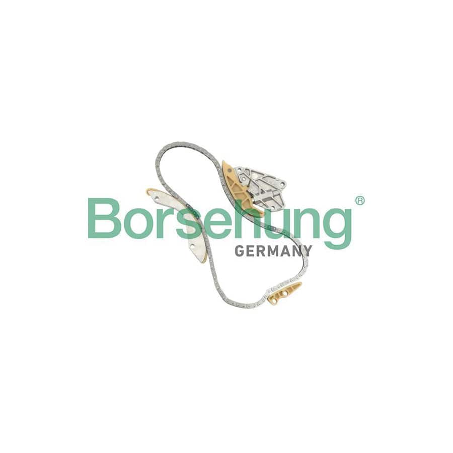 Borsehung B10204 Timing Chain Kit