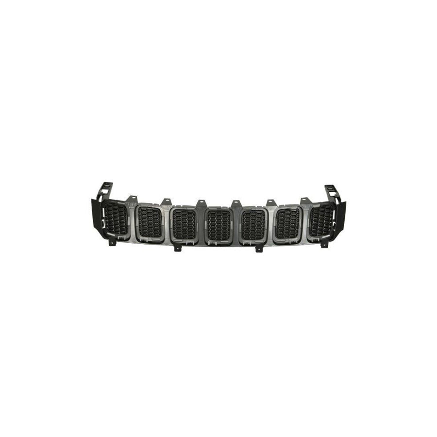 Blic 6502-07-3217990P Radiator Grille