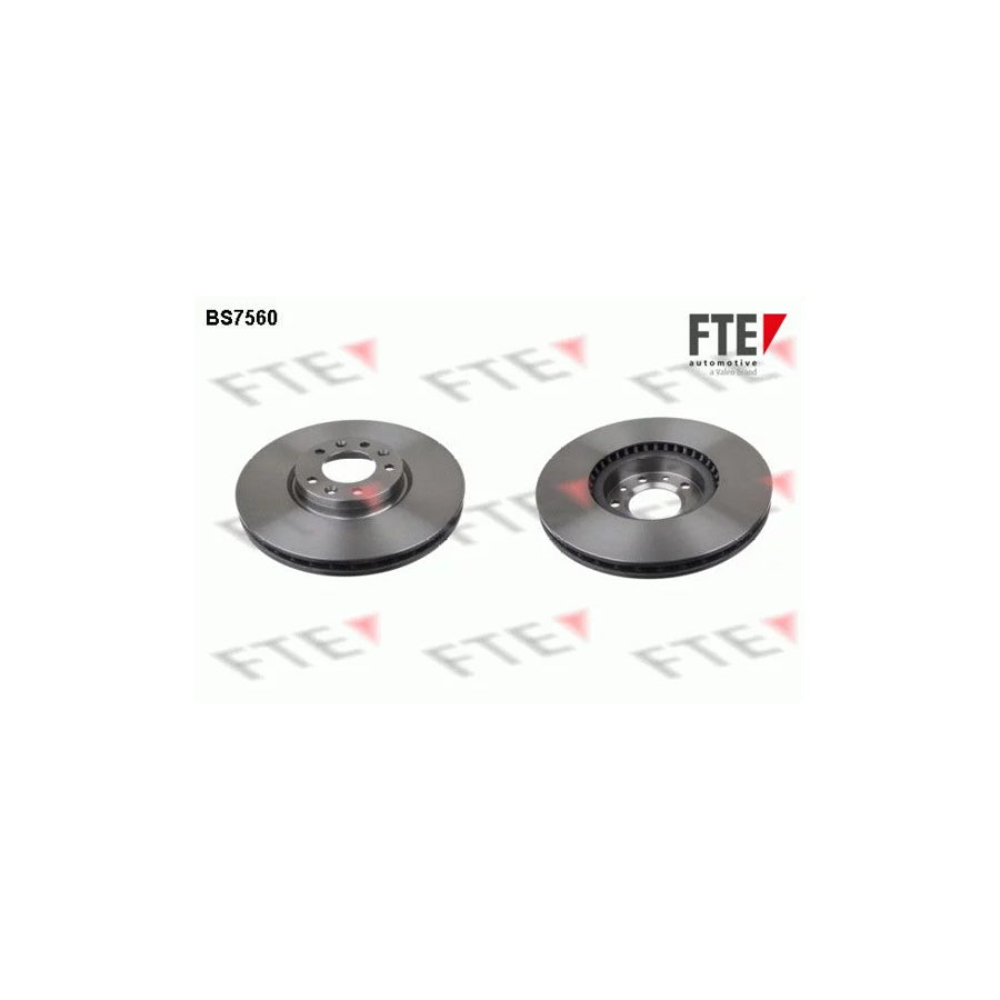 Fte 9071032 Brake Disc | ML Performance UK Car Parts