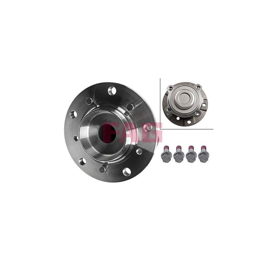 FAG 713 6679 10 Wheel Bearing Kit