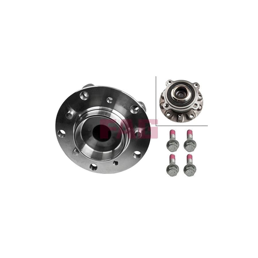 FAG 713 6679 00 Wheel Bearing Kit