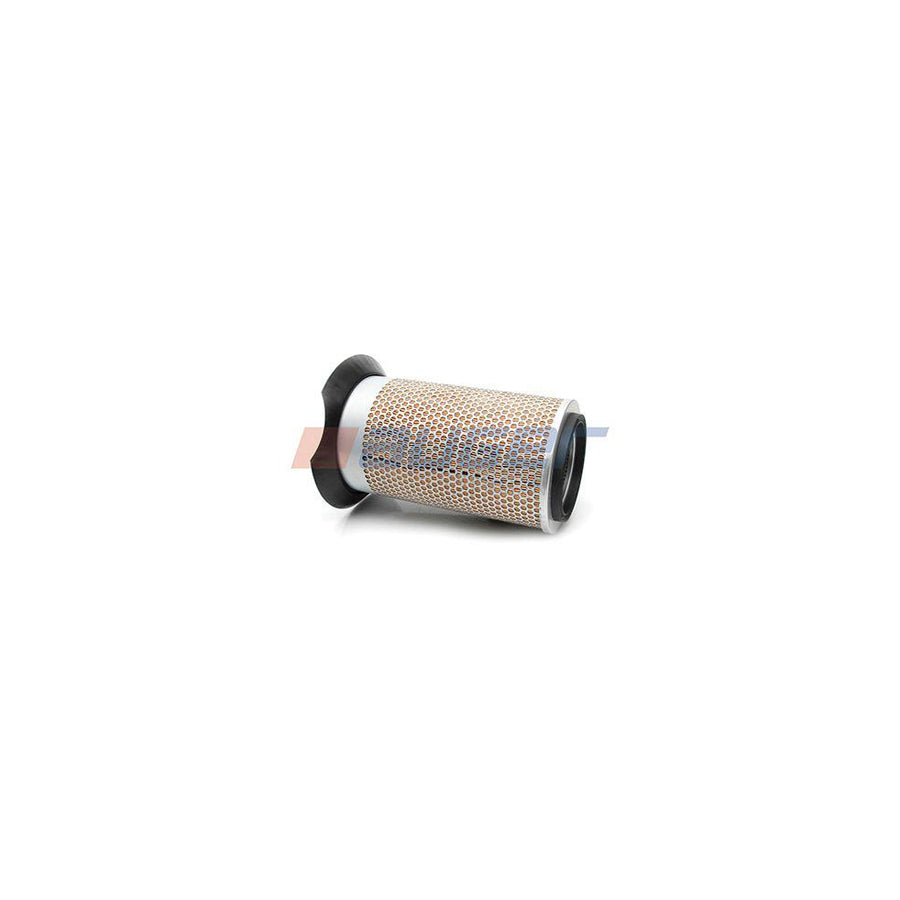 Auger 76489 Air Filter