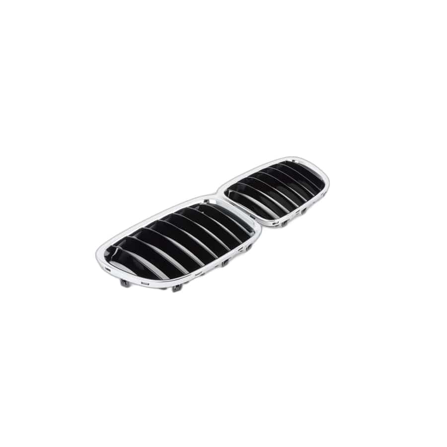 Genuine BMW 51117347670 E84 Set Of Trim Grills, Front SPORTLINE (Inc. X1 20dX, X1 25iX & X1 35iX) | ML Performance UK Car Parts