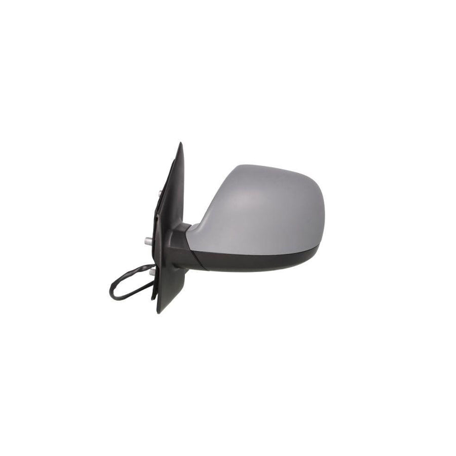 Blic 5402-01-2002665P Wing Mirror