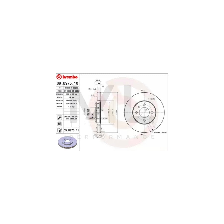 BREMBO 09.B975.10 Brake Disc Internally Vented, High-carbon, with bolts/screws | ML Performance Car Parts