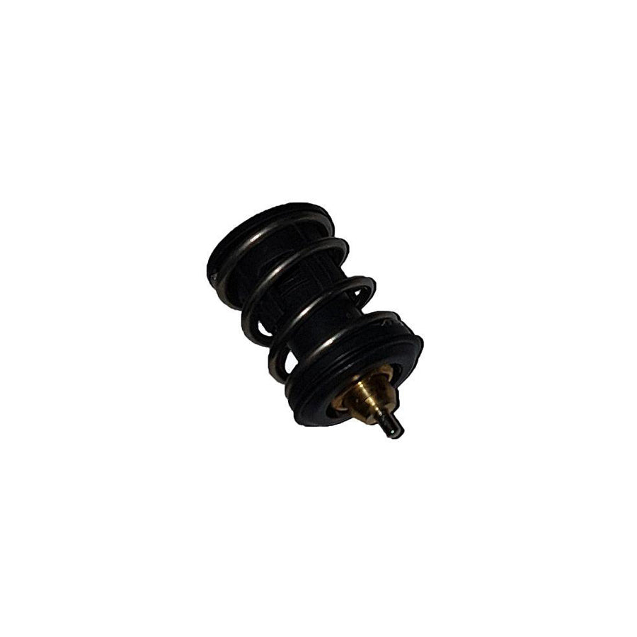 Bugiad BSP25071 Engine Thermostat