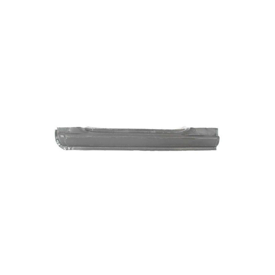 Blic 6505-06-3542005P Rocker Panel