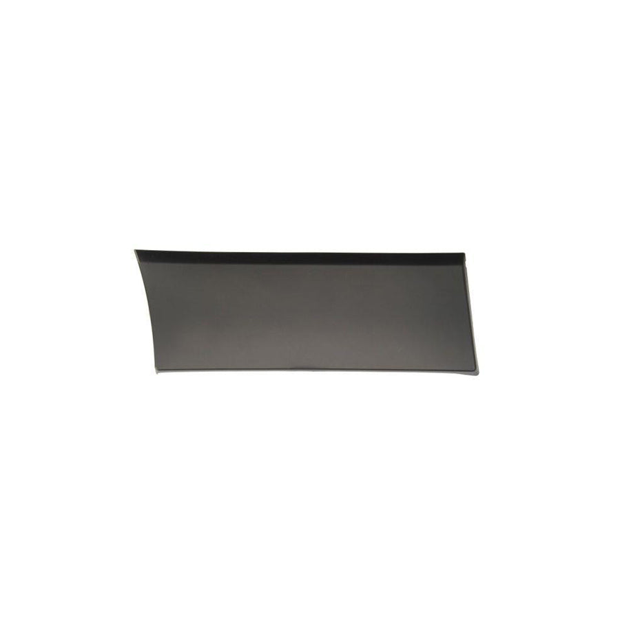 Blic 5703-04-6063584Pp Trim / Protective Strip, Mudguard