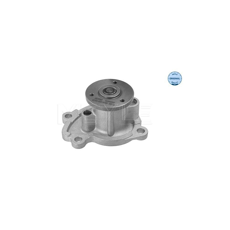 Meyle 36-13 220 0013 Water Pump