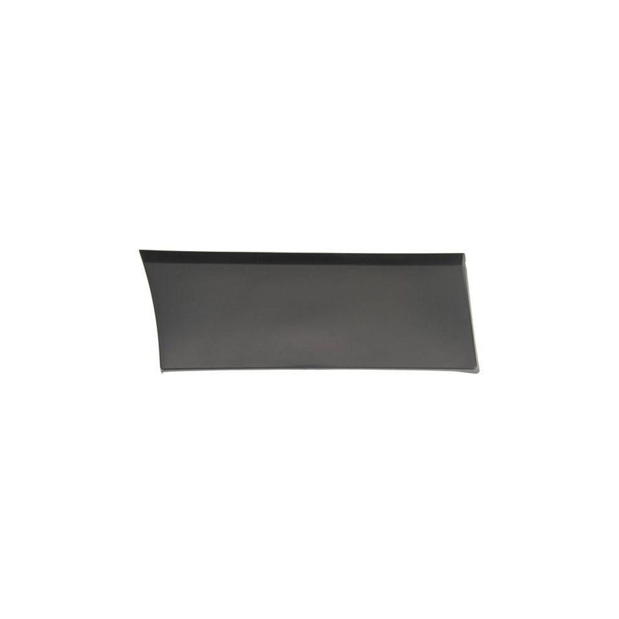 Blic 5703-04-6063584P Trim / Protective Strip, Mudguard