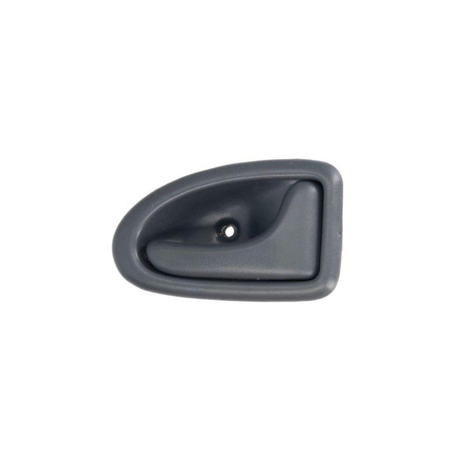 Blic 6010-09-032408Pp Door Handle