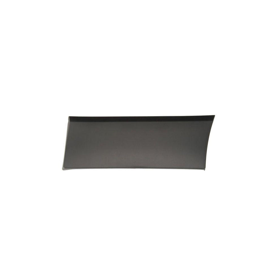 Blic 5703-04-6063583Pp Trim / Protective Strip, Mudguard