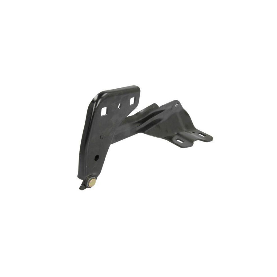 Blic 6802-00-2598452P Hinge, Bonnet