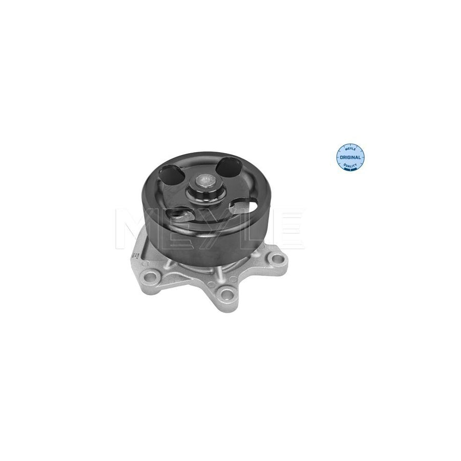 Meyle 36-13 220 0018 Water Pump