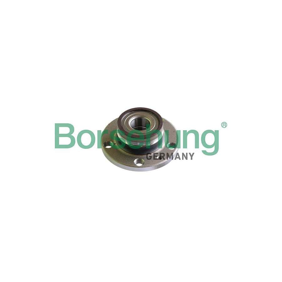 Borsehung B18297 Wheel Bearing Kit