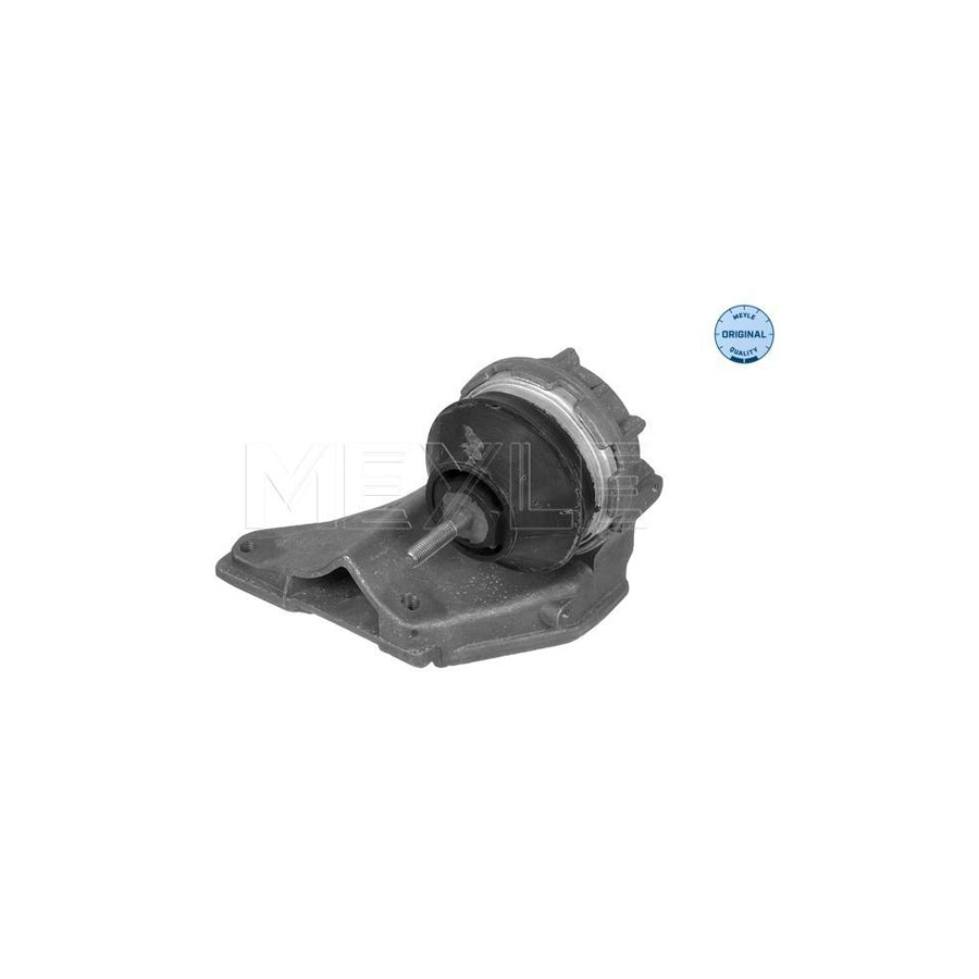 Meyle 100 199 0018 Engine Mount