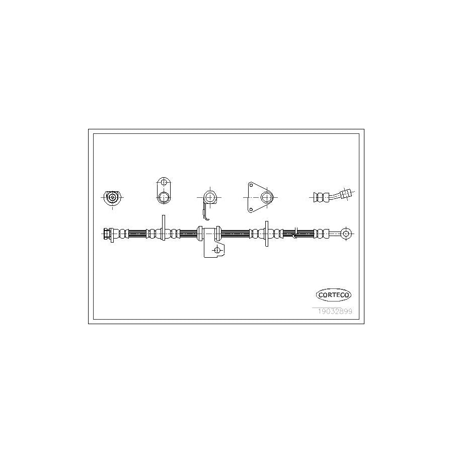 Corteco 19032899 Brake Hose | ML Performance UK