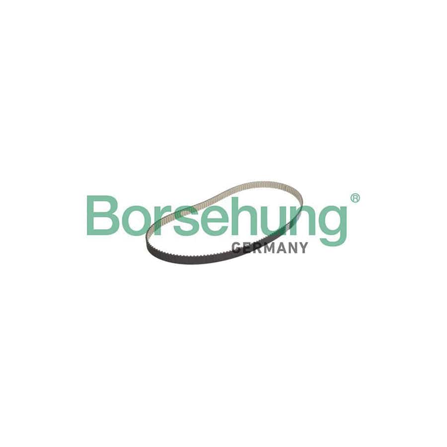 Borsehung B10228 Timing Belt