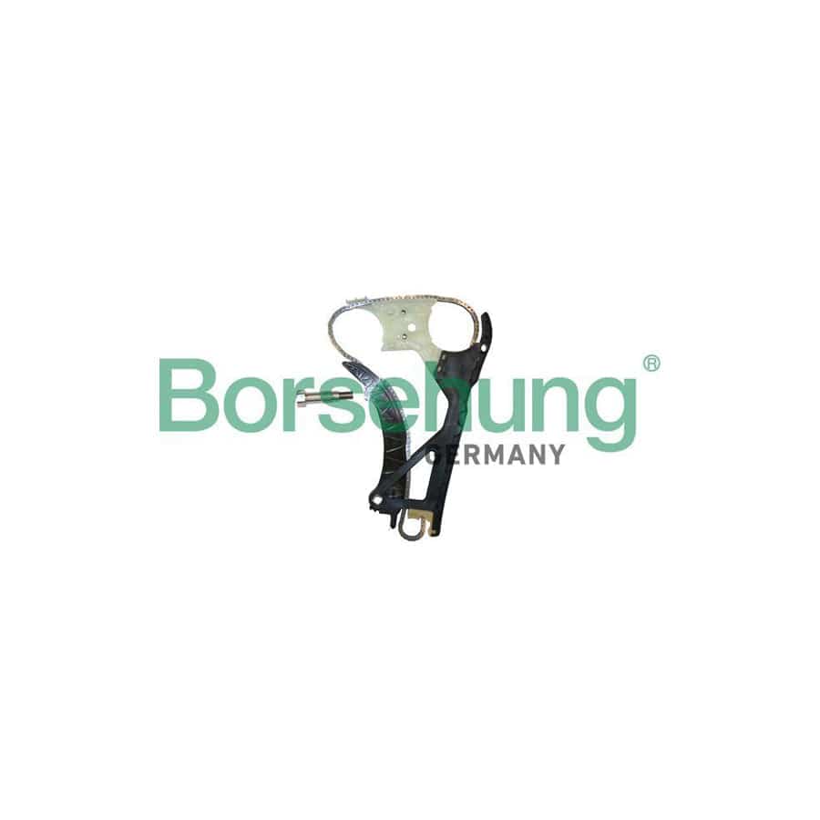 Borsehung B10224 Timing Chain Kit