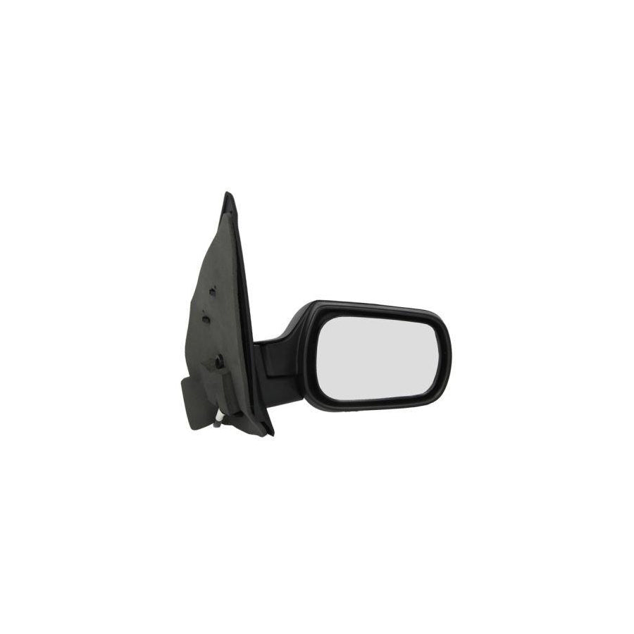 Blic 5402-04-1125132 Wing Mirror