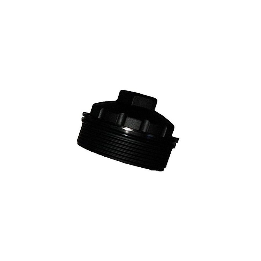 Bugiad BSP25078 Cover, Oil Filter Housing