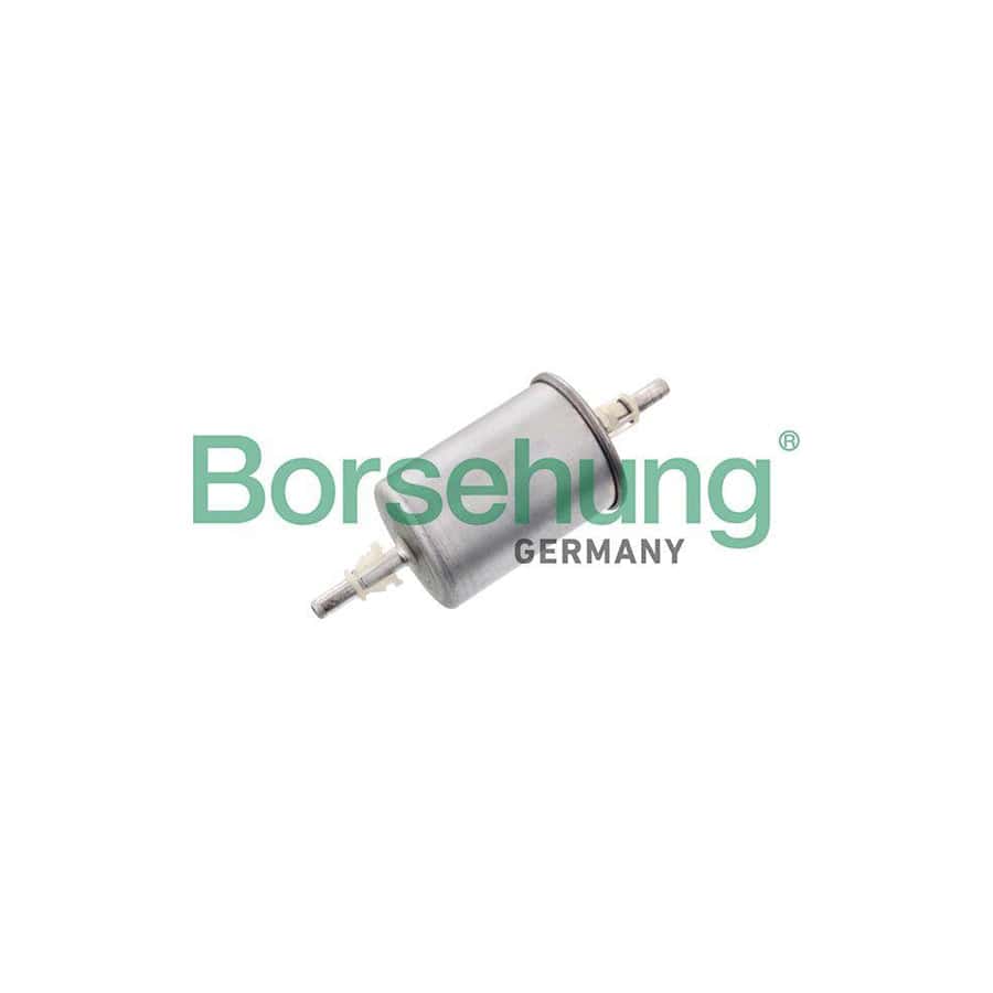 Borsehung B10483 Fuel Filter